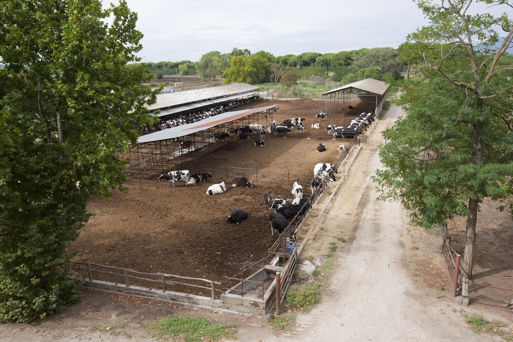 Agriturismo Pantano Borghese Monte Compatri Zewnętrze zdjęcie
